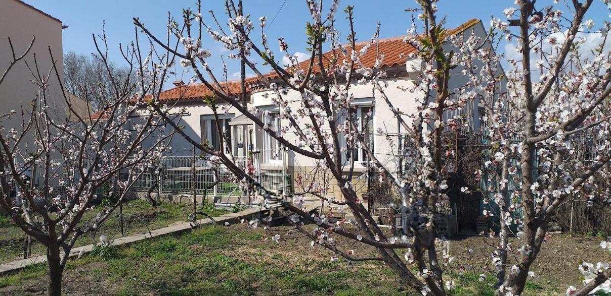 La Maison Du Bonheur Saint-Laurent-de-la-Salanque Luaran gambar